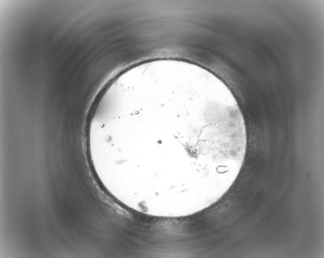 X0000066120950200603131325