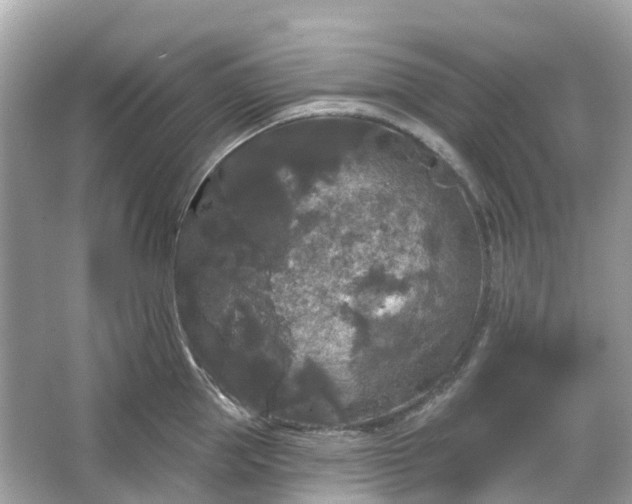 X0000066120953200603131325