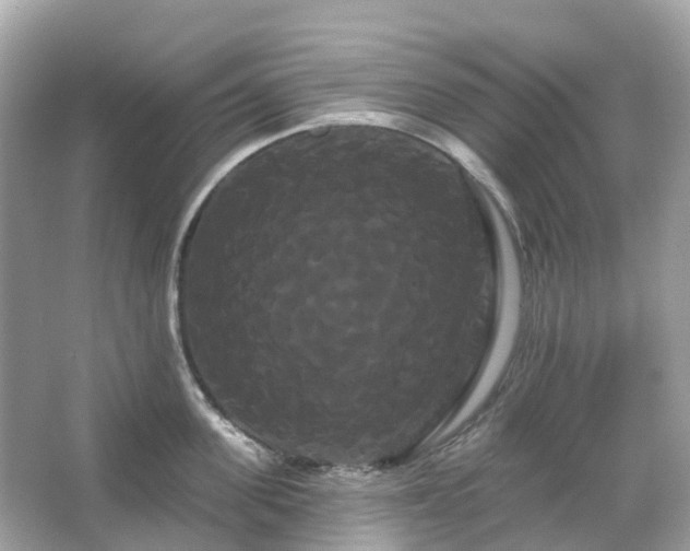 X0000066120955200603131325