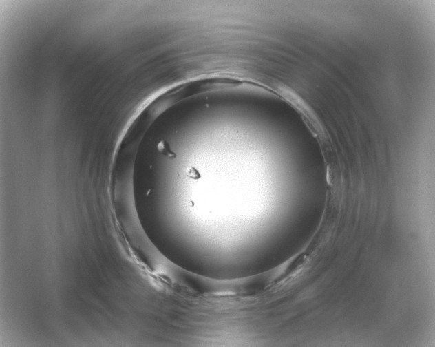 X0000066120956200603131325