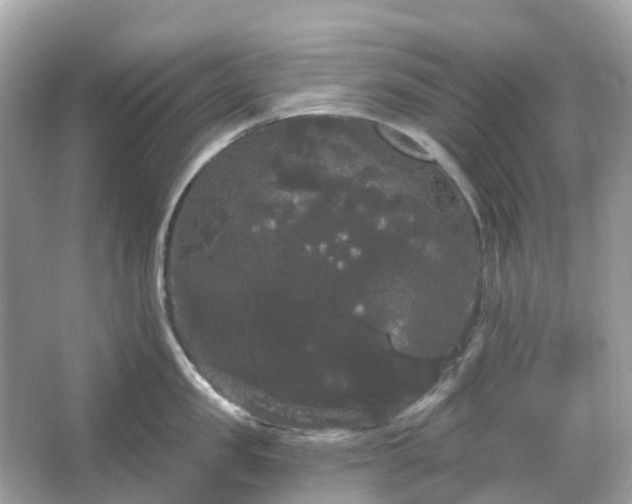 X0000066120957200603131325