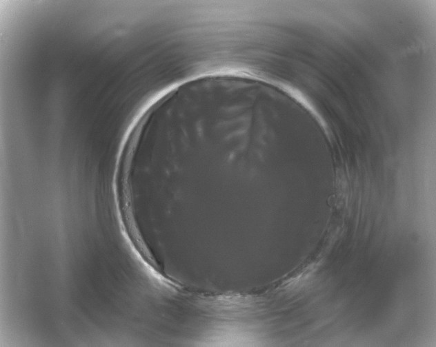 X0000066120959200603131325