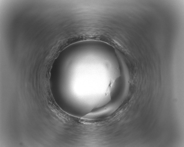 X0000066120961200603131324