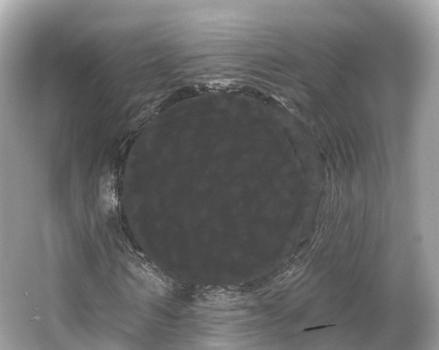 X0000066120962200603131324