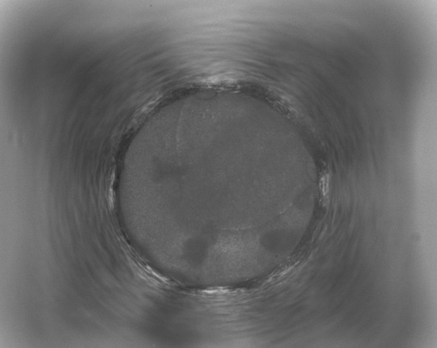 X0000066120963200603131324