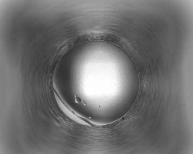 X0000066120964200603131324