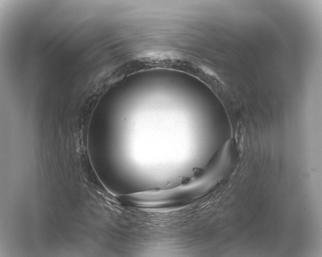 X0000066120965200603131324