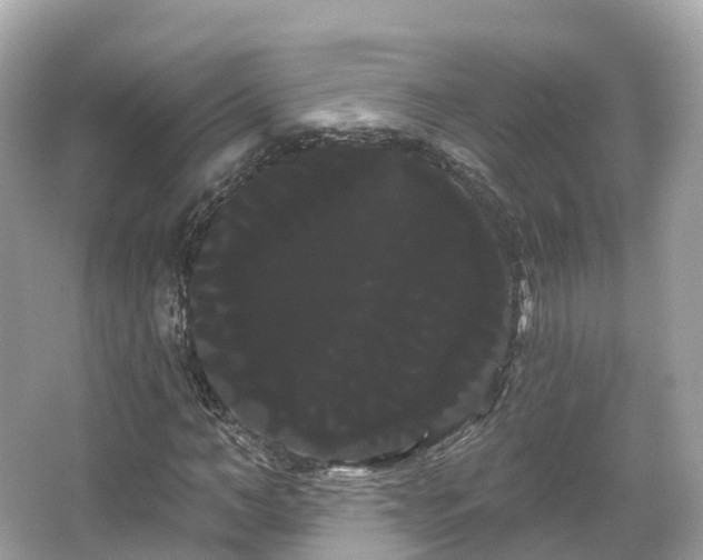 X0000066120966200603131324