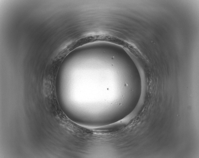 X0000066120967200603131324