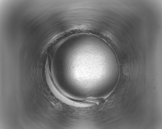 X0000066120968200603131324