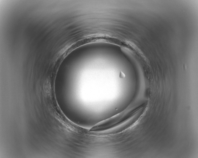 X0000066120969200603131324