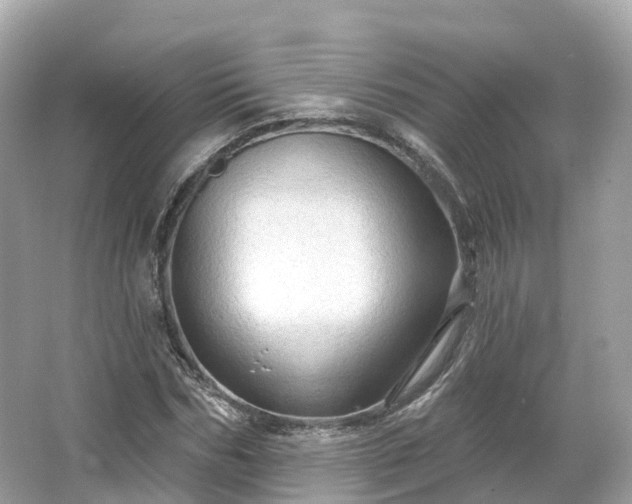 X0000066120970200603131324