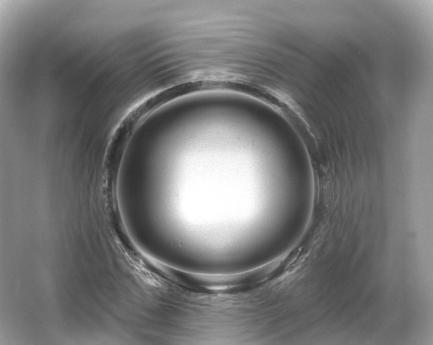 X0000066120971200603131324