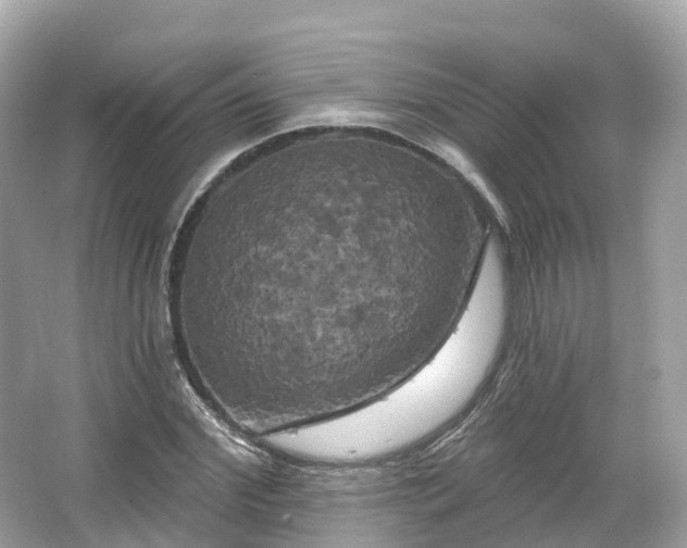 X0000066120972200603131324