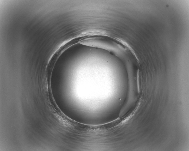 X0000066120973200603131324