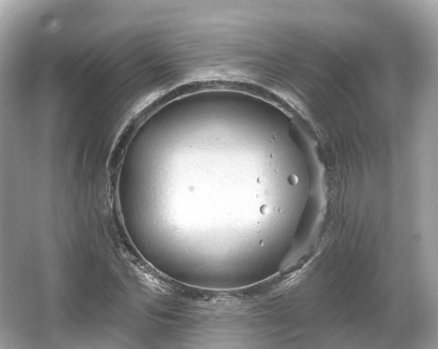 X0000066120974200603131324