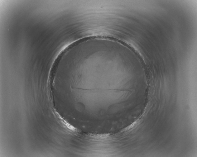 X0000066120975200603131324