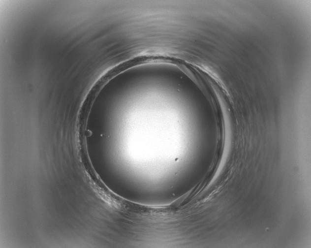 X0000066120976200603131324