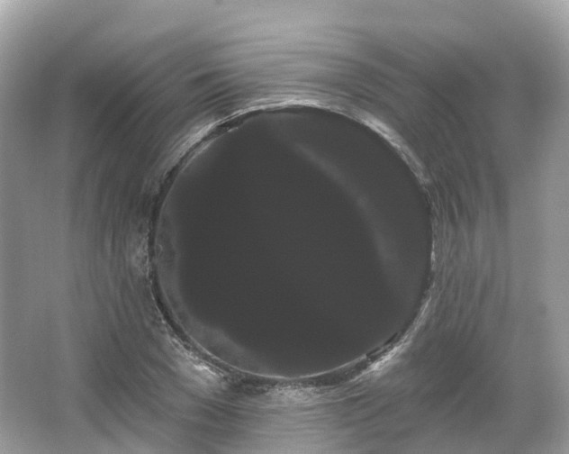 X0000066120977200603131324