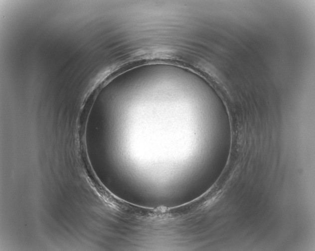 X0000066120978200603131324