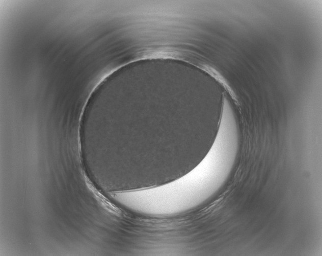 X0000066120980200603131324