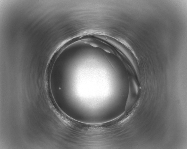 X0000066120981200603131324