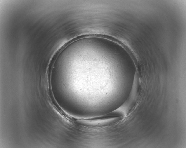 X0000066120982200603131324