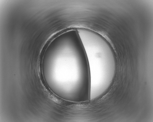 X0000066120984200603131323