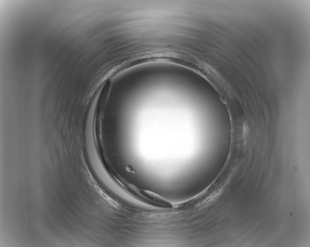 X0000066120985200603131323