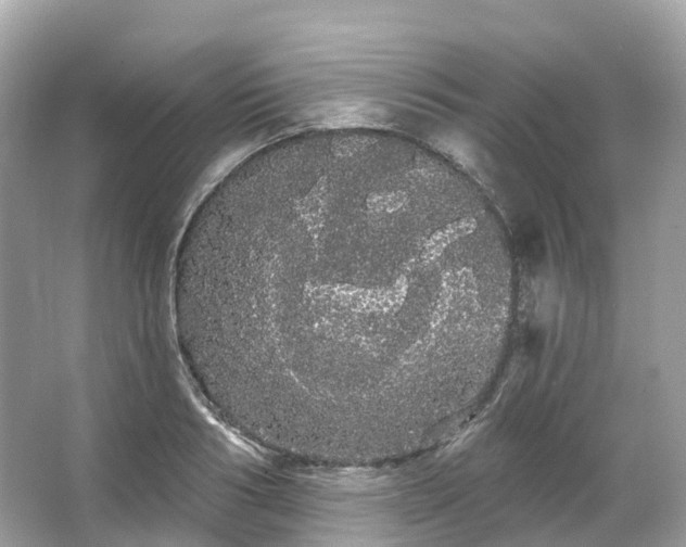 X0000066120986200603131323