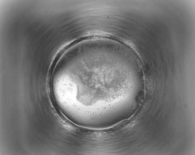 X0000066120987200603131323