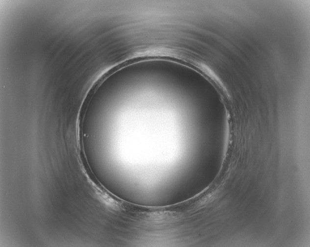 X0000066120988200603131323