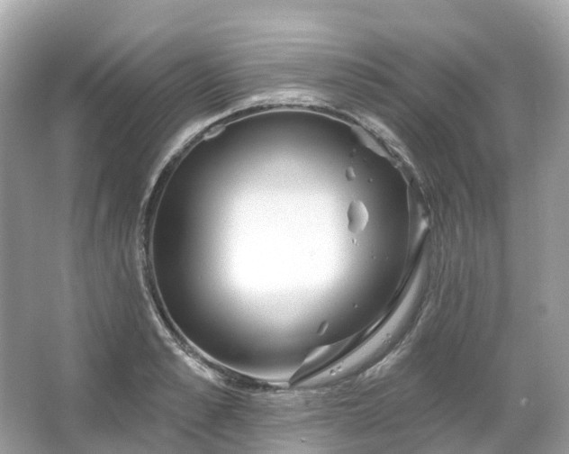 X0000066120989200603131323