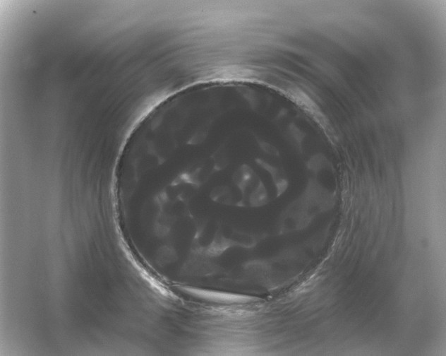 X0000066120990200603131323