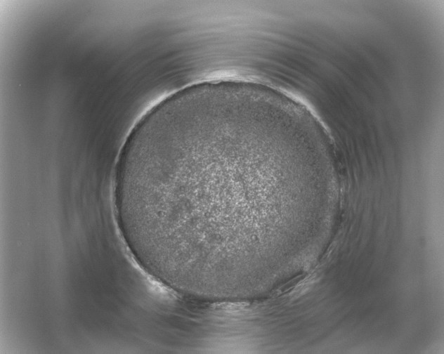 X0000066120991200603131323