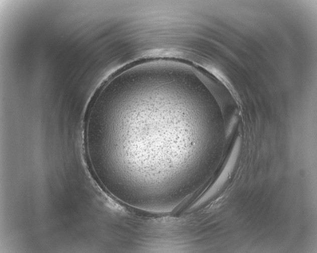 X0000066120992200603131323