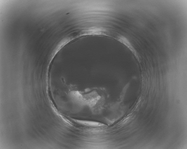 X0000066120994200603131323