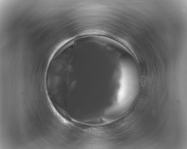 X0000066120995200603131323