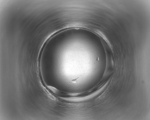 X0000066120996200603131323