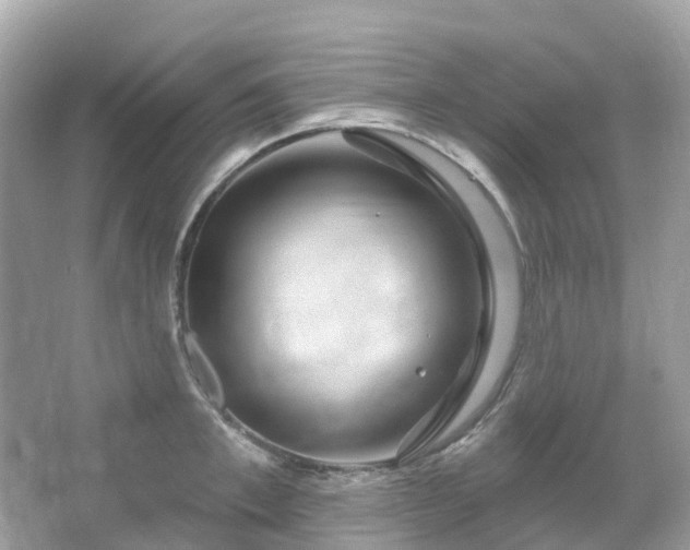 X0000066120997200603131323