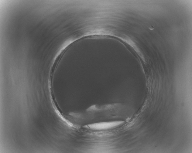 X0000066120998200603131323