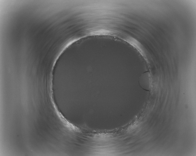 X0000066121000200603131323