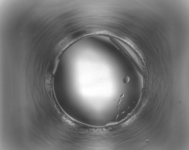 X0000066121001200603131323