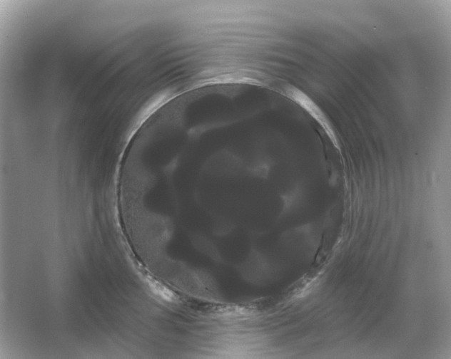 X0000066121002200603131323