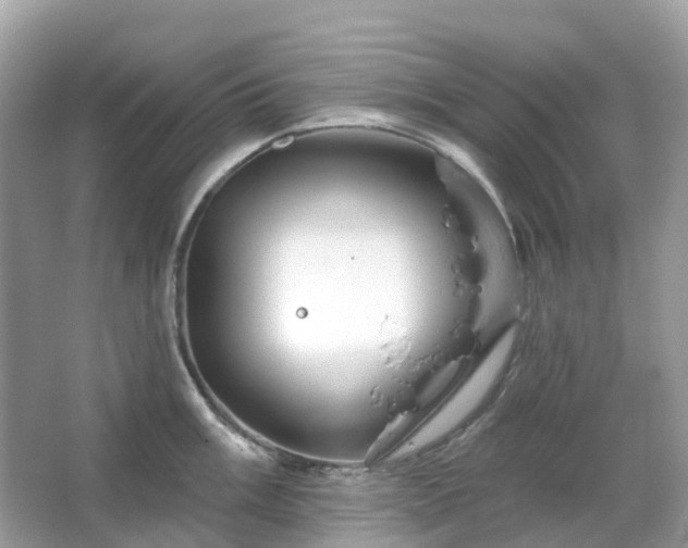 X0000066121003200603131323