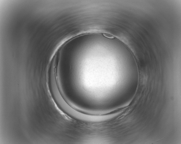 X0000066121006200603131323