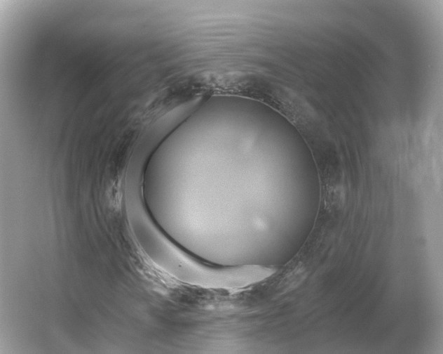 X0000066121010200603131322