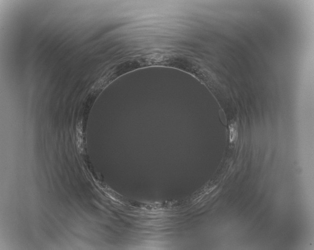 X0000066121011200603131322