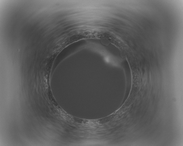 X0000066121013200603131322