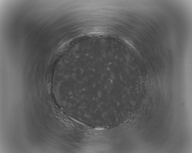 X0000066121015200603131322